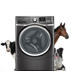 Equine Laundry Equipment